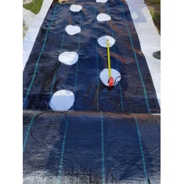 Agrotekstas didelės skylės fi20cm sodinukams 1 1x5m