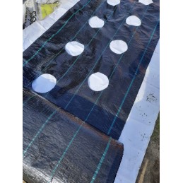 Agrotekstas didelės skylės fi20cm sodinukams 1 1x5m