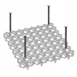 Inkaras 25 cm 50 vnt smeigtukai inkarai
