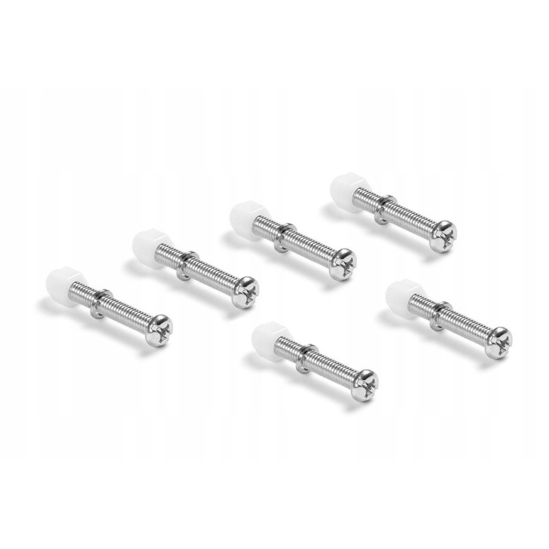 x varžtų rinkinys M6 x 40 mm baseino kopėčioms 10227 intex