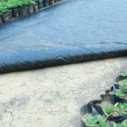 Greenmill klasikinis agrotekstilė juoda 1x10m 100g/m2 mulčiavimo ritinėlis gr101