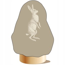 Apsauginis gobtuvas iš neaustinio kiškio