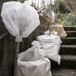 Hobi agrotekstilė žieminė danga Agro Nova 1.6x10 - agrimpex