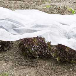 Agrotekstilės spyruoklinis dengiantis kilimėlis apsauginis dangtelis 1,1x10 m 17g baltas