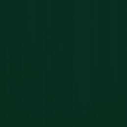 Stačiakampė sodo burė iš oksfordo audinio, 2x3 m, žalia