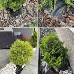 Agrotaudinis 1 6x5m 90g uv bellushortus smeigtukai