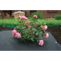 Growwoven mulčiavimas nuo piktžolių 1 60x10 gr 50 juoda