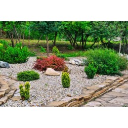 Agrotekstilė 1,6*10m p50