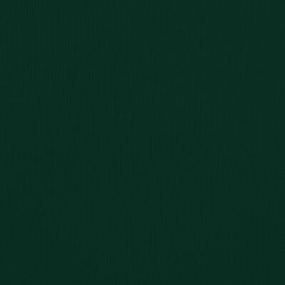 Vidaxl stačiakampė sodo burė iš oksfordo audinio 2x3 m žalia