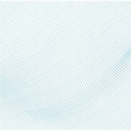 Bestway 58277 baseino valymo tinklelis