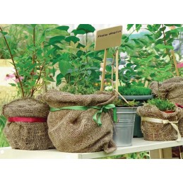 Raudono džiuto apsauginis gaubtas