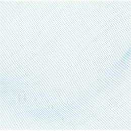 Bestway 58277 baseino valymo tinklelis