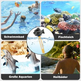 Juokingas plaukiojantis baseino termometras su rykliu su akiniais