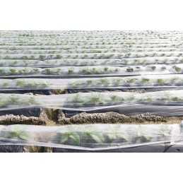 Lenkiška agrotekstilės danga, pavasarinė, šalnoms, metrais