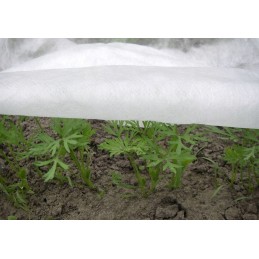 ☘️balta žieminė agrotekstilė 3,2x10m (30g)☘️