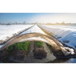 ✨ pavasario-žiemos dengiamoji agrotekstilė, balta, 3,2x10m, 30g