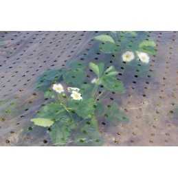 ✨ Perforuota folija su UV filtru vienam metrui, 5,4x1m, skaidri