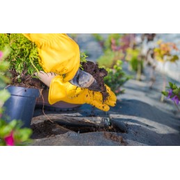 Smeigtukai kaiščiai agrotekstilei agrotekstilei geotekstilei kilimėliams ankeriai 30cm 50vnt