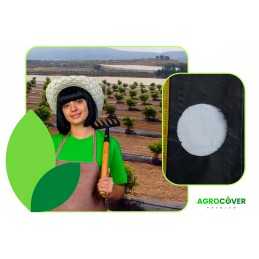 Žemės ūkio audinys, skylutės mėlynių tujoms, 110 cm į metrą