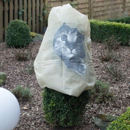 Audinys gobtuvas smalsus katinas 125 xw 120 cm