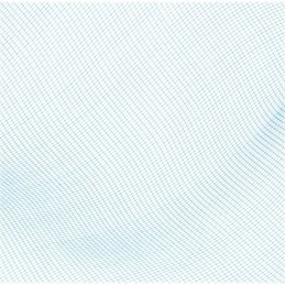 Bestway 58277 baseino valymo tinklelis