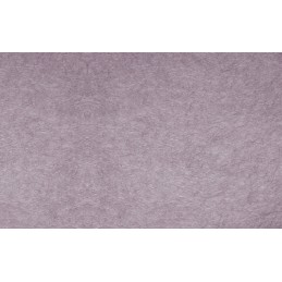 Poliesterio geotekstilė