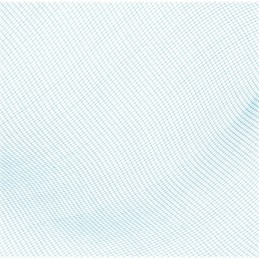 Bestway 58277 baseino valymo tinklelis