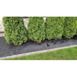 Lenkiška, labai stora agrotekstile fiberina stiprus premium 1,6 150g, juodas