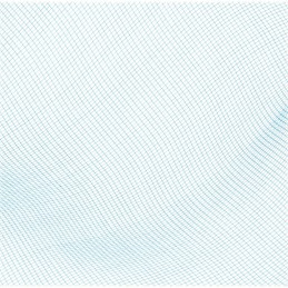 Bestway 58277 baseino valymo tinklelis