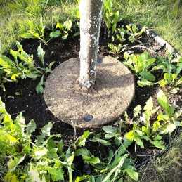 Techniniai parametrai: