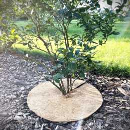 Techniniai parametrai: