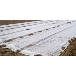 Agrowwoven baltas 17g 3 2x20m austas austas pavasaris vasara žiema apsauginis