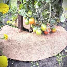 Techniniai parametrai: