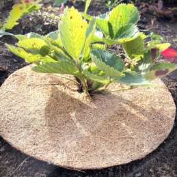 Techniniai parametrai: