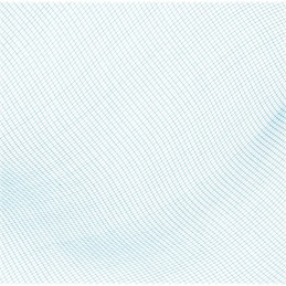 Bestway 58277 baseino valymo tinklelis