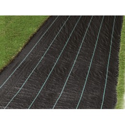 Tvirtas nuo piktžolių agrotekstilės audinys 1x10m 10m2