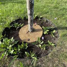 Techniniai parametrai: