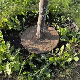 Techniniai parametrai: