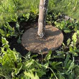 Techniniai parametrai: