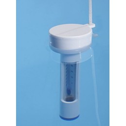 Bestway klasikinis baseino termometras