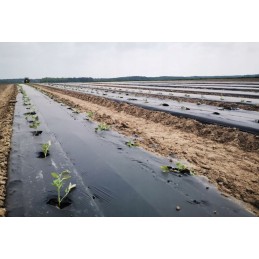 Biologiškai skaidi ir dirvoje kompostuojama folija mulčiavimui