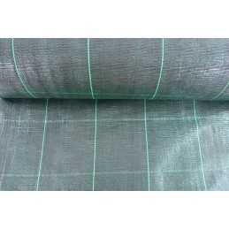 Agrotekstilė agrotekstilė 100g žalia 160 cm x 1 m