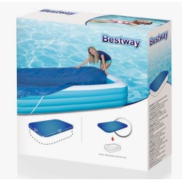 Bestway baseino danga 262x175 b58319