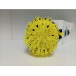 Apvalus šepetys baseino dulkių siurbliui