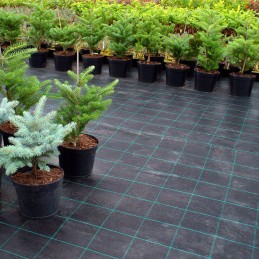 Juoda agrotekstilė 10m x 1,05m tvirta, lenkiška, 100g piktžolėms, UV smeigtukai