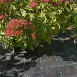 Juoda agrotekstilė 10m x 1,05m tvirta, lenkiška, 100g piktžolėms, UV smeigtukai