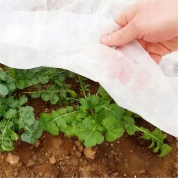 Balta pavasarinė agrotekstilė 17g - 4,2 x 10 m agrospeed