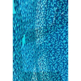 Baseino remonto juosta, balti remonto lopai