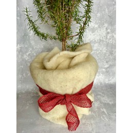 Vilnonis žieminis neaustinis audinys - Poltops