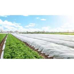 Dengianti agrotekstilė balta spyruoklė uv 20g/m2 1,6mx1m